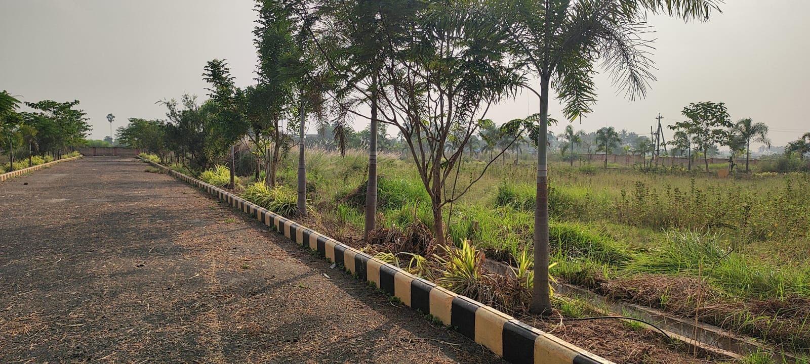 Plot For Sale in Vayuputra 
