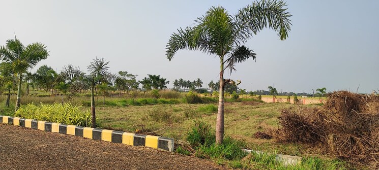 undefined, kankipadu  200 Sq.Yd. Plot In Kankipadu Vijayawada 8125107