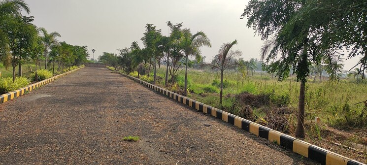 undefined, kankipadu  200 Sq.Yd. Plot In Kankipadu Vijayawada 8125107