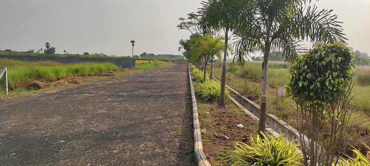 undefined, kankipadu  200 Sq.Yd. Plot In Kankipadu Vijayawada 8125107