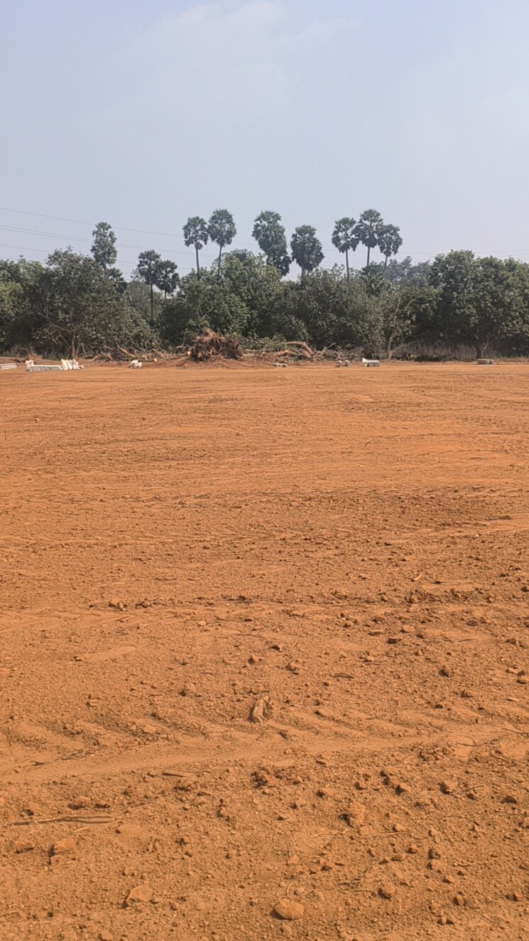 undefined, kothavalasa  200 Sq.Yd. Plot In Kothavalasa Vizag 8125132