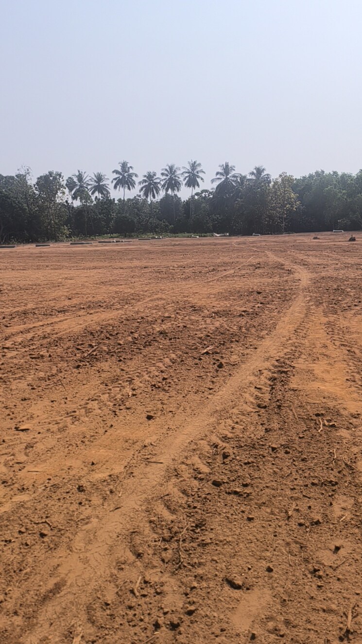 undefined, kothavalasa  200 Sq.Yd. Plot In Kothavalasa Vizag 8125132
