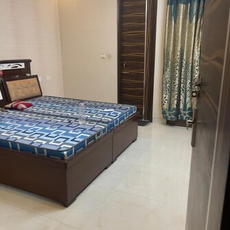 3 BHK Builder Floor For Rent in Sunshine Enclave Vip Road Zirakpur  8125186