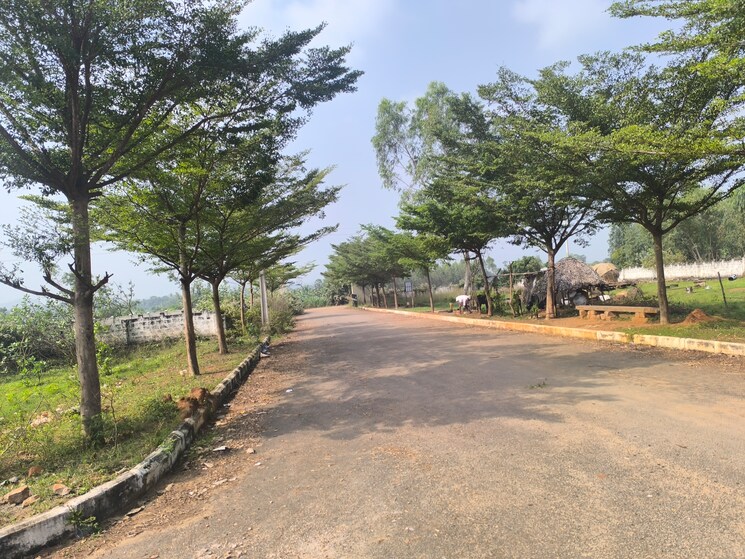 Exterior View, anandapuram  380 Sq.Yd. Plot In Anandapuram Vizag 8125237