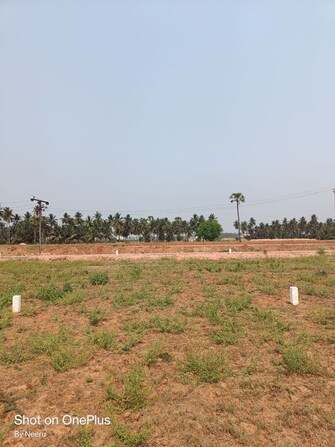 Plot For Resale in Morampudi Junction Rajahmundry  8125370