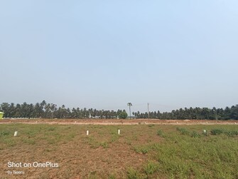 Plot For Resale in Morampudi Junction Rajahmundry  8125370