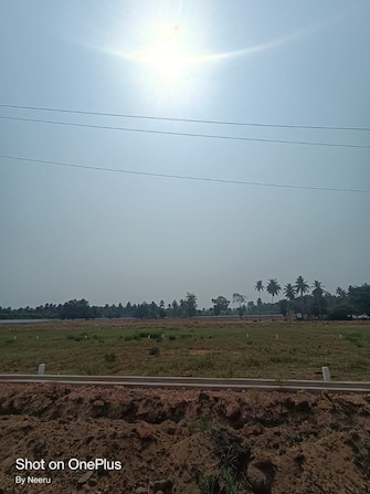 Plot For Resale in Morampudi Junction Rajahmundry  8125370