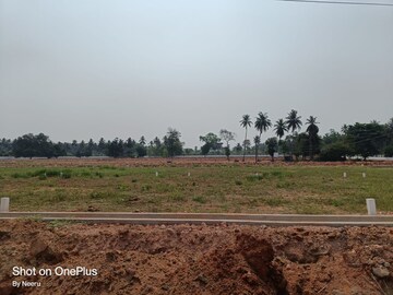 Plot Area in  Plot at Morampudi Junction – for Sale