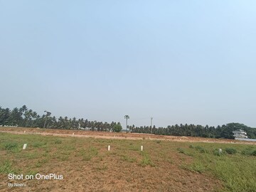 Plot Area in  Plot at Morampudi Junction – for Sale