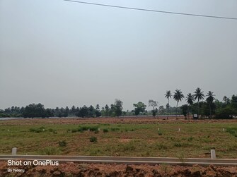 Plot For Resale in Morampudi Junction Rajahmundry  8125370