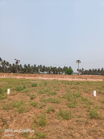 Plot For Resale in Morampudi Junction Rajahmundry  8125370