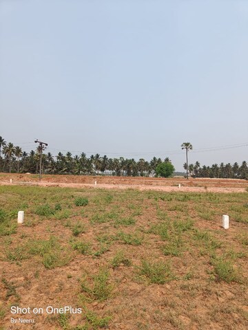 Plot Area in  Plot at Morampudi Junction – for Sale