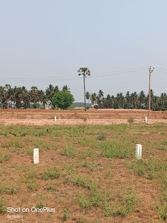 Plot For Resale in Morampudi Junction Rajahmundry  8125370