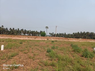 Plot For Resale in Morampudi Junction Rajahmundry  8125370