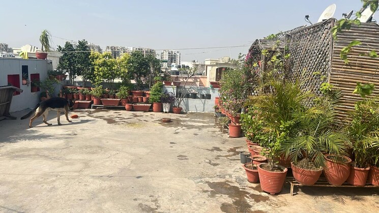  Parking, ambala highway 3.5 Bedroom 200 Sq.Yd. Apartment In Ambala Highway Zirakpur 8125446