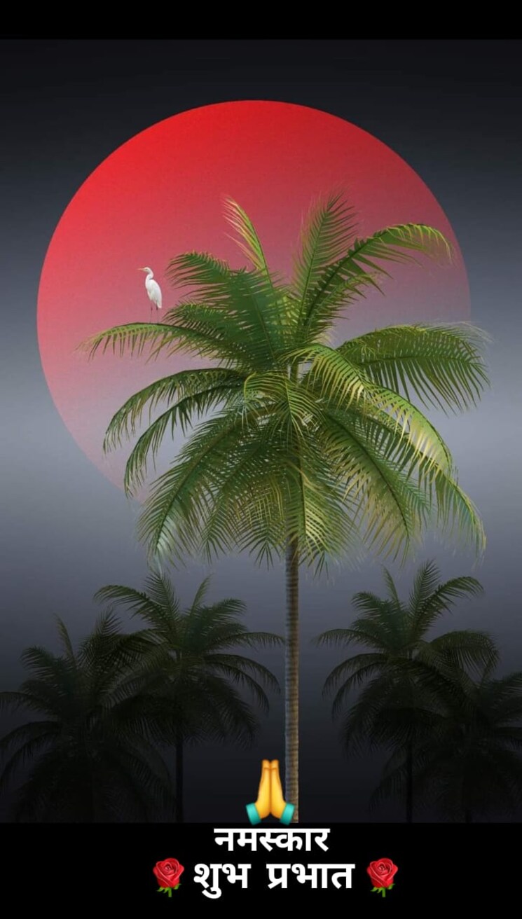 Garden, sector 27  558 Sq.Yd. Plot In Sector 27 Panchkula 8125452