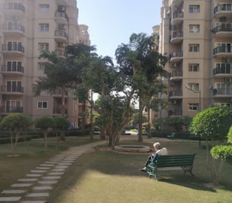 4 BHK Apartment For Rent in ATS Golf Meadows Central Derabassi Chandigarh  8125465