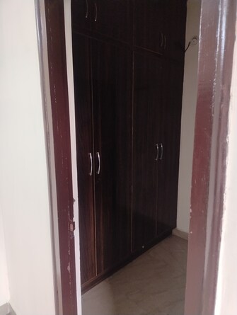 3 BHK Apartment For Rent in LDA Parijaat Apartments Faizabad Road Lucknow  8125548