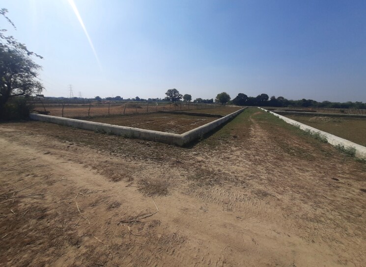 undefined, kisan path  1000 Sq.Ft. Plot In Kisan Path Lucknow 8125608