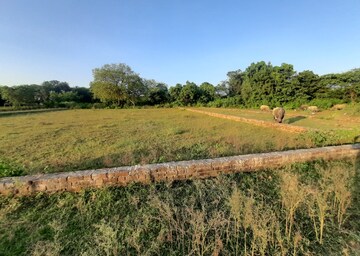 Plot Area in  Plot at Kisan Path – for Sale