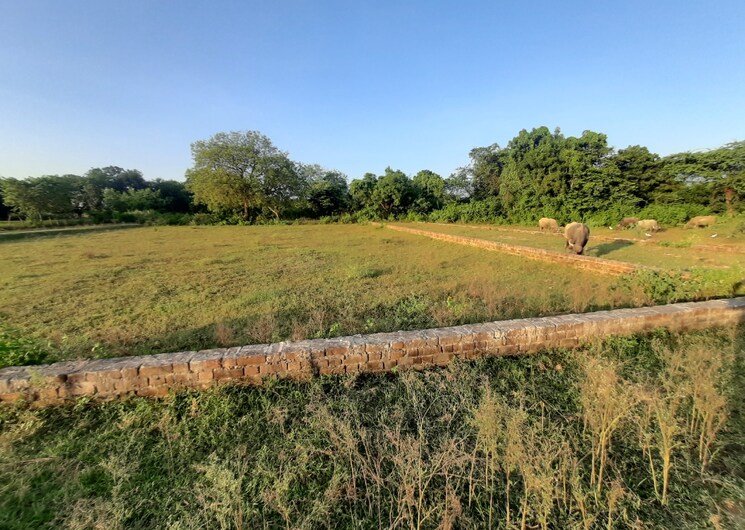 undefined, kisan path  1000 Sq.Ft. Plot In Kisan Path Lucknow 8125608