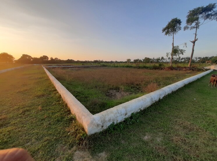 undefined, kisan path  1000 Sq.Ft. Plot In Kisan Path Lucknow 8125608