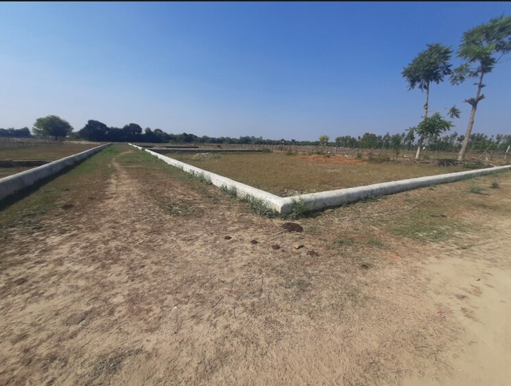 undefined, kisan path  1000 Sq.Ft. Plot In Kisan Path Lucknow 8125608