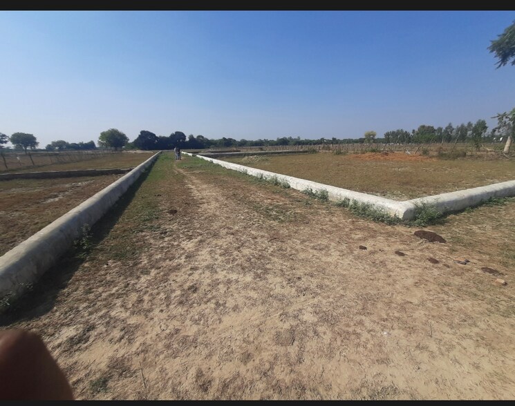undefined, kisan path  1000 Sq.Ft. Plot In Kisan Path Lucknow 8125608