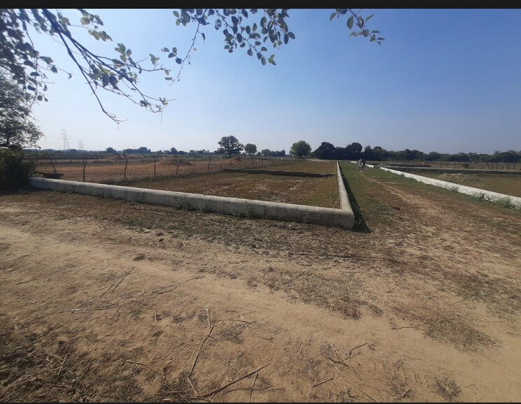 undefined, kisan path  1000 Sq.Ft. Plot In Kisan Path Lucknow 8125608