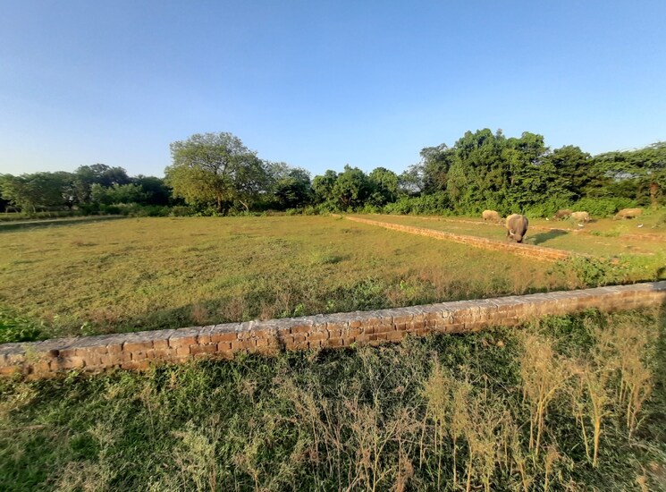 undefined, kisan path  1000 Sq.Ft. Plot In Kisan Path Lucknow 8125608