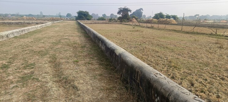 undefined, kisan path  1000 Sq.Ft. Plot In Kisan Path Lucknow 8125608