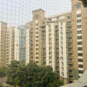 3 BHK Apartment For Rent in Vipul Greens Sector 48 Gurgaon  8125682