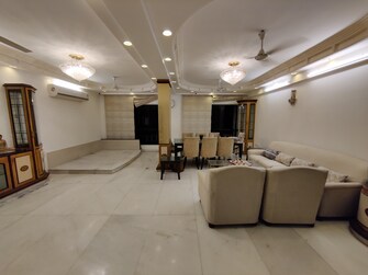 3 BHK Apartment For Rent in Felicia Apartment Pali Hill Mumbai  8125724