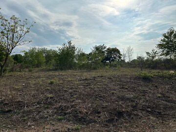 Plot Area in  Plot at Pevtha – for Sale