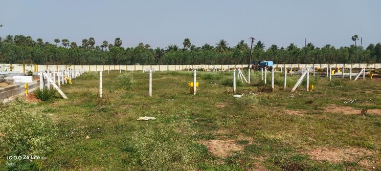 undefined, bhogapuram  200 Sq.Yd. Plot In Bhogapuram Vizag 8125823
