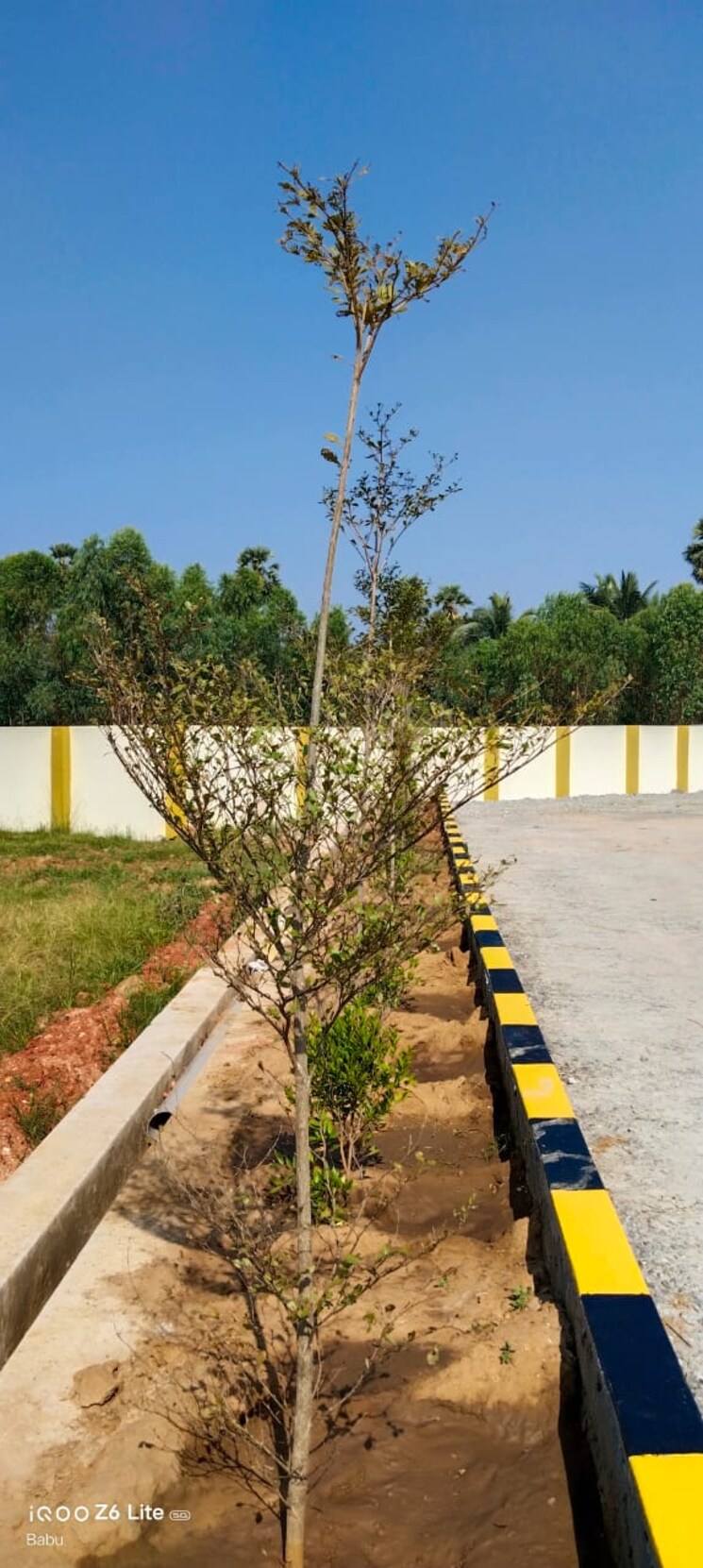 Garden, bhogapuram  200 Sq.Yd. Plot In Bhogapuram Vizag 8125823