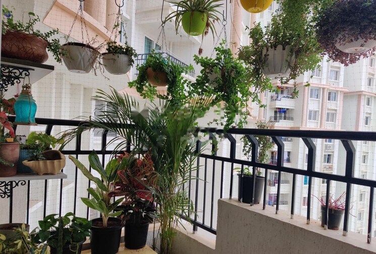 Balcony, kolte-patil-itowers-exente 2 Bedroom 857 Sq.Ft. Apartment In Electronic City Phase I Bangalore 8125787