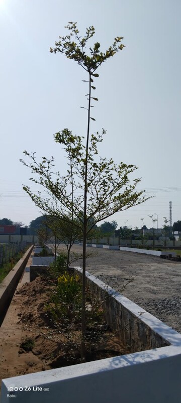  Plot – Exterior View View at Bhogapuram - for Sale