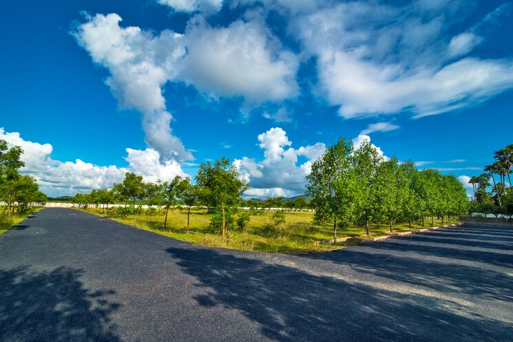 Garden, kothavalasa  200 Sq.Yd. Plot In Kothavalasa Vizag 8125886