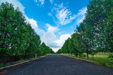  Plot – Garden View at Kothavalasa - for Sale
