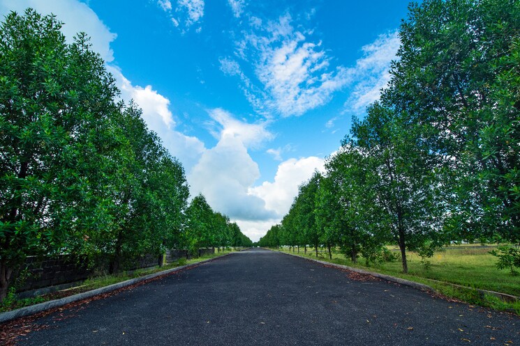 Garden, kothavalasa  200 Sq.Yd. Plot In Kothavalasa Vizag 8125886