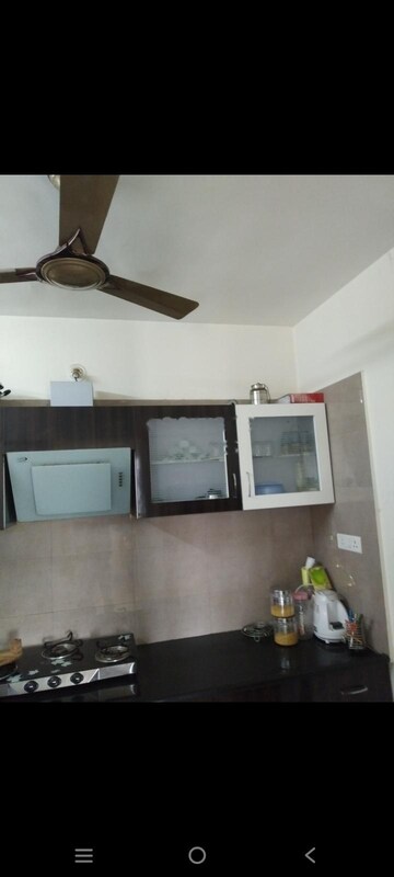 2 BHK Apartment For Rent in Five Star Royal Glory Wakad Pune  8125877