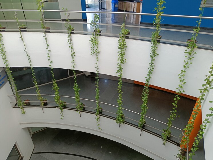 Exterior View, software-technology-park Commercial Office Space 18500 Sq.Ft. In Talwade Pune 5338165