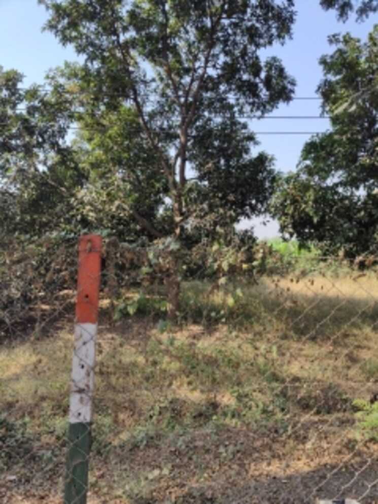 Garden, kansad Commercial Land 6 Acre In Kansad Surat 8126055