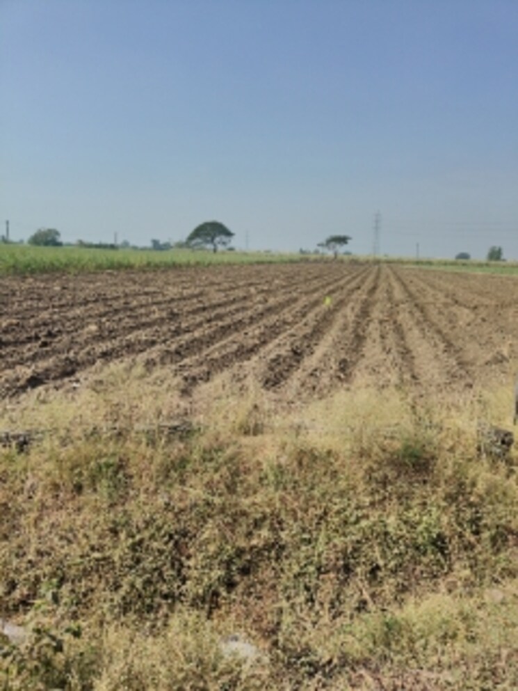 undefined, kansad Commercial Land 3 Acre In Kansad Surat 8126169