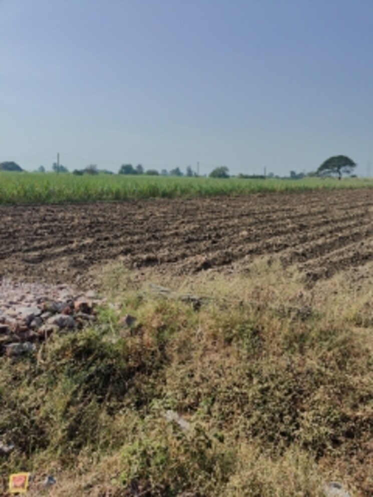 undefined, kansad Commercial Land 3 Acre In Kansad Surat 8126169