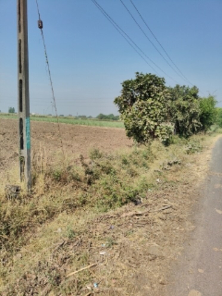 undefined, kansad Commercial Land 3 Acre In Kansad Surat 8126169