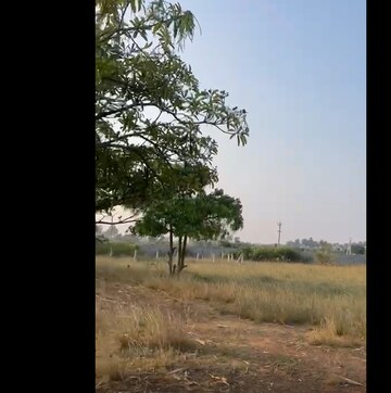  Plot For Sale in Bhogapuram