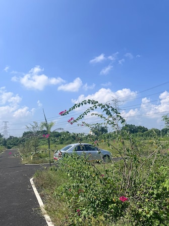 Plot For Resale in Manav Seva Nagar Nagpur  8126205