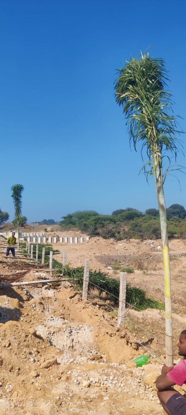 undefined, raj-iconic  150 Sq.Yd. Plot In Shadnagar Hyderabad 8126223